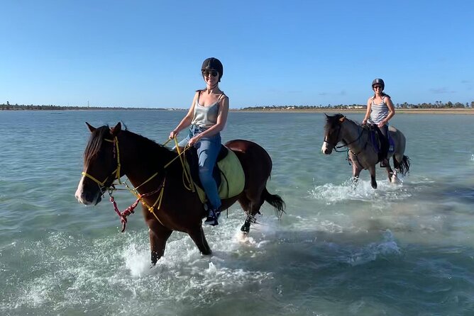 Horseback Riding in Djerba Lagoon - Key points at a glance