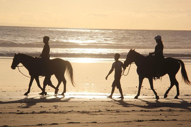 Horseback Riding in Djerba Lagoon - Why the Lagoon Makes This Ride Different
