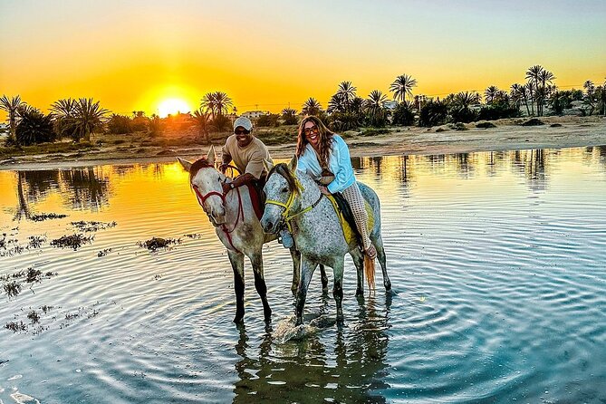 Horseback riding or camel at sunset in Djerba - Key points to know before you book
