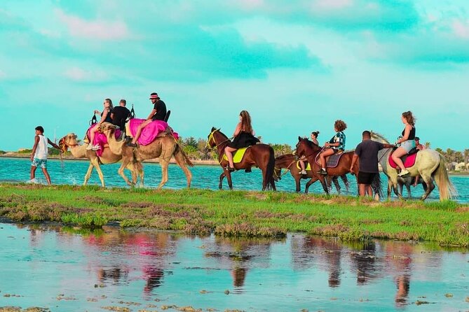 Horseback riding or camel at sunset in Djerba - The first minutes: getting settled before the beach walk