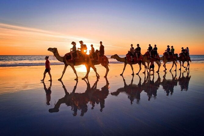 Horseback riding or camel at sunset in Djerba - Is $29.04 a fair price?