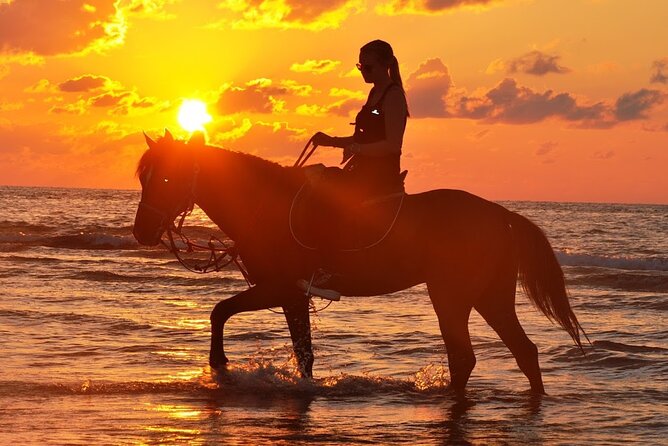 Horseback riding or camel at sunset in Djerba - Choosing between a horse and a camel