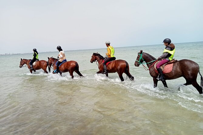 Horseback riding with private transfer - From Monastir to the Riding Center in Sahline