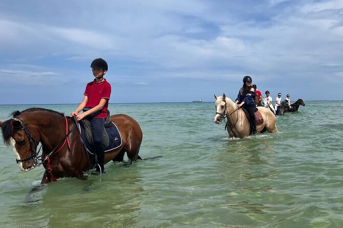 Horseback riding with private transfer - How the Three-Hour Experience Feels
