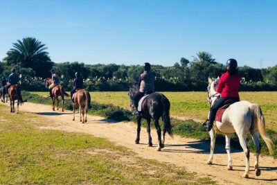 Horseback riding with private transfer