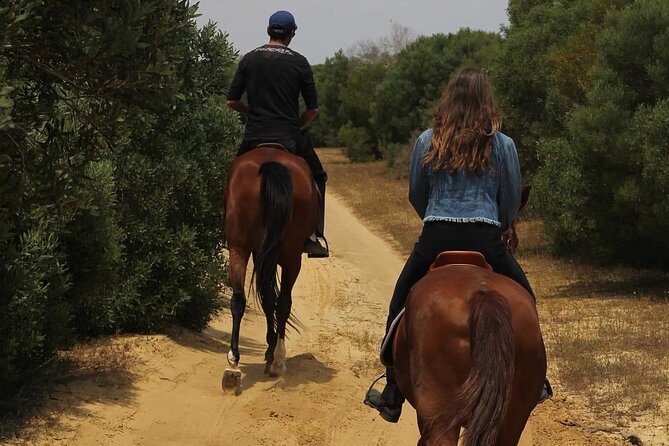 Horseback riding with private transfer - Why the Private Group Format Matters