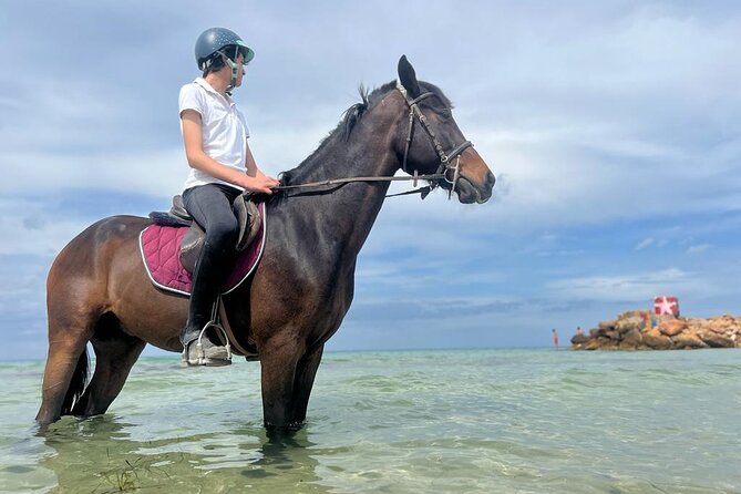 Horseback riding with private transfer - Is $62.72 a Fair Price?