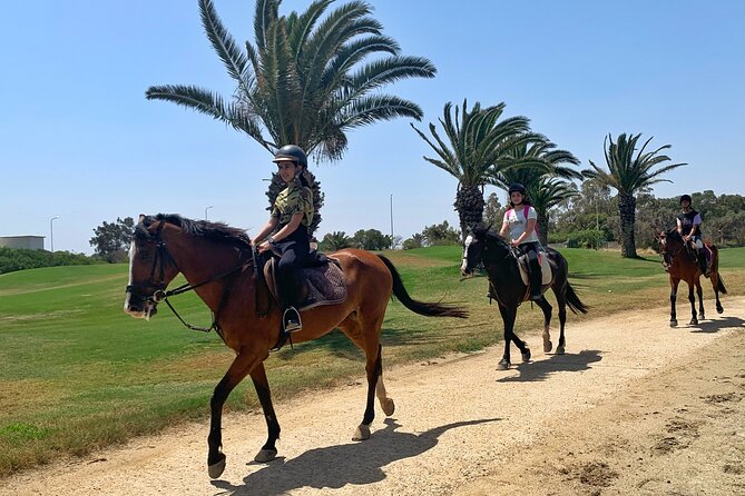 Horseback riding with private transfer - Who Will Enjoy This Ride Most?