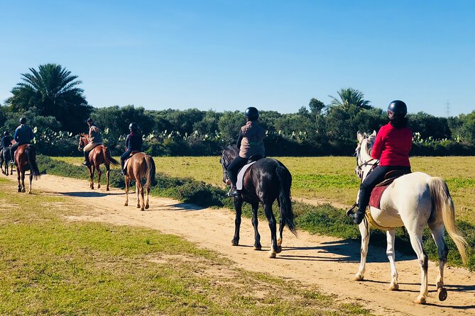 Horseback riding with private transfer - Meeting the Horses Before the Ride