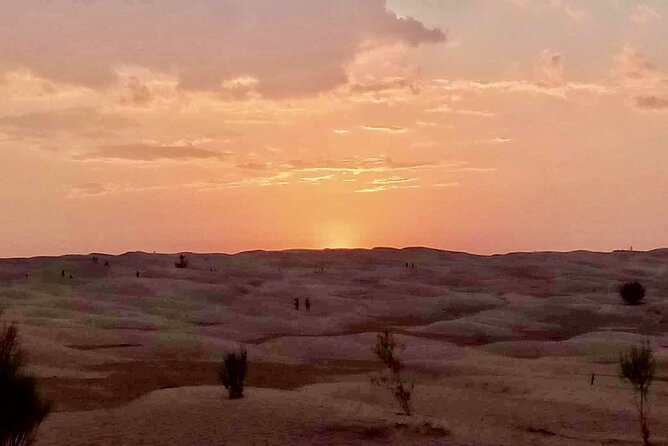 Ksar Ghilaine and Chneni Tataouine 1 day tour in Tunisia - Key things to know before you go