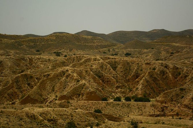 Ksar Ghilane 1 day: The hot spring and the homestay - The five details that shape the day