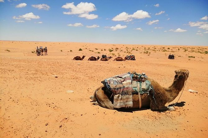 Ksar Ghilane 1 day: The hot spring and the homestay - The schedule is efficient, but it is not gentle