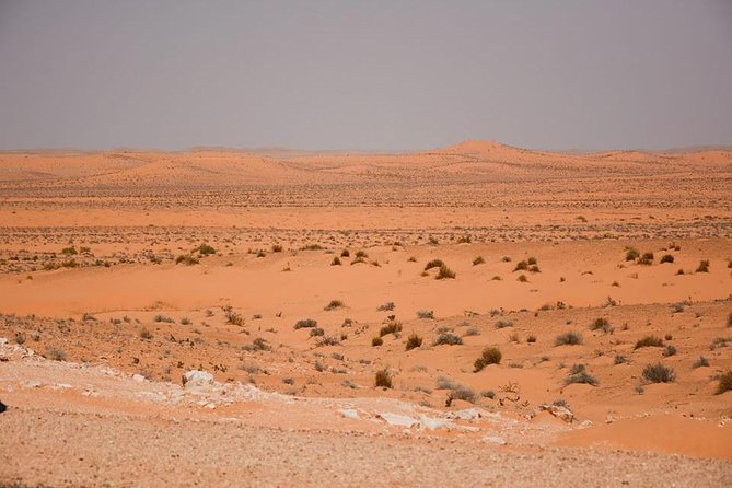 Ksar Ghilane 1 day: The hot spring and the homestay - Tamezret offers a short Berber village pause
