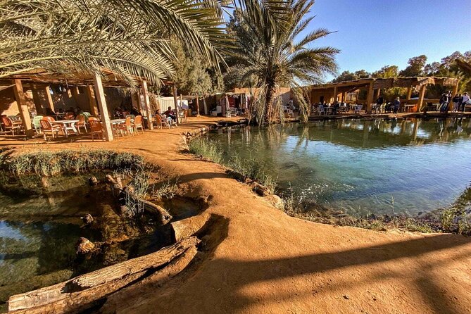 Night excursion to the desert and Berber village from Djerba - Why this desert trip is worth two days