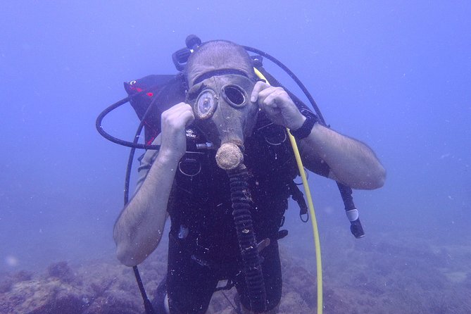 Octopus Rock Exploration - Certified Diver - Equipment checks and the safety briefing