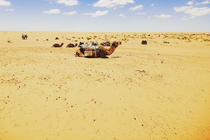 One night under the tent: Tataouine - Chenini - Ksar Ghilane - Matmata - Tataouine and Chenini: Villages, Ksour, and Berber Life