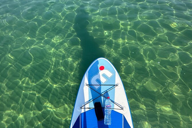 Paddle with us in Golf Hammamet - Key points to know before you book