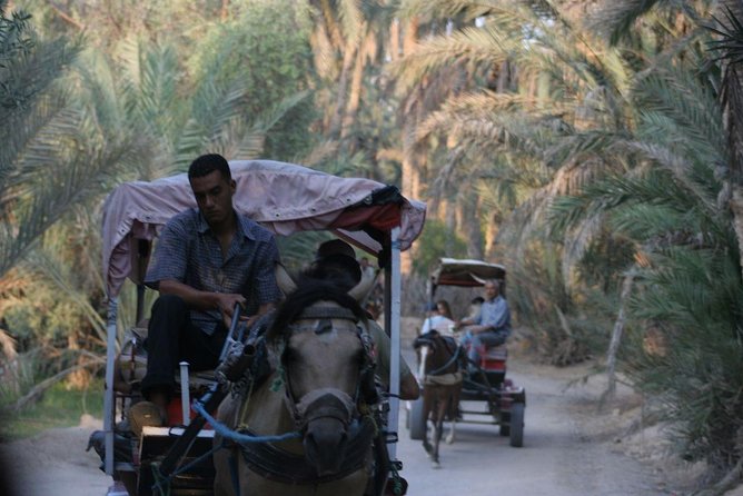 PRIVATE 2 day SAFARI (Ksar Ghilane and Atlas Mountains) from Jerba - Tozeur: an oasis town with an optional carriage ride