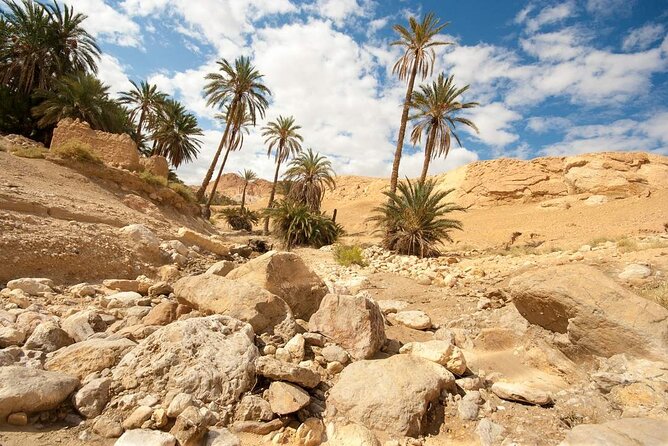 PRIVATE 2 day SAFARI (Ksar Ghilane and Atlas Mountains) from Jerba - Ong Jmel, Chott El Gharsa and the off-road ride