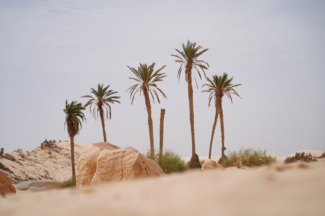 Private 3 Day Tour in Southern Tunisia or More - Nefta and the Desert Night Question