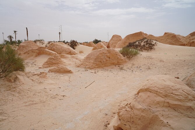 Private 3 Day Tour in Southern Tunisia or More - The Guide and Driver Make a Real Difference