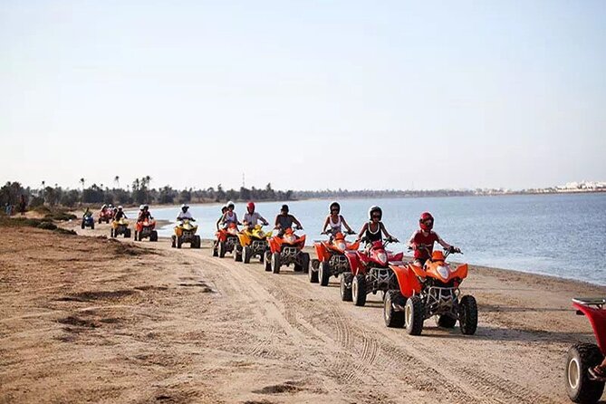 Private 3h00 quad ride on the island of Djerba - Starting at Palm Djerba Café in the Tourist Zone