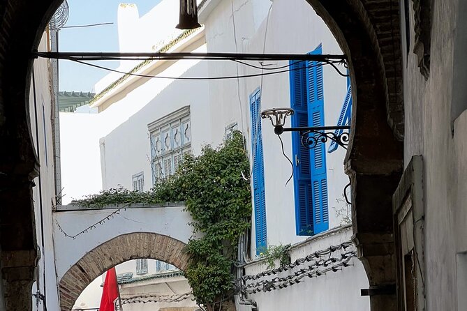 Private Day Tour Tunis Medina Carthage Sidi Bou Said Bardo Museum - Price, transport, and the practical trade-offs