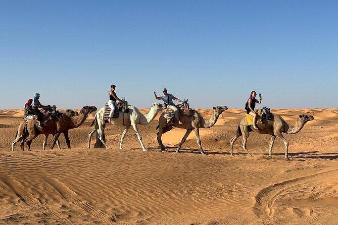 Private Day Trip Ksar Ghilane Oasis - Why this Djerba desert trip works as a full day