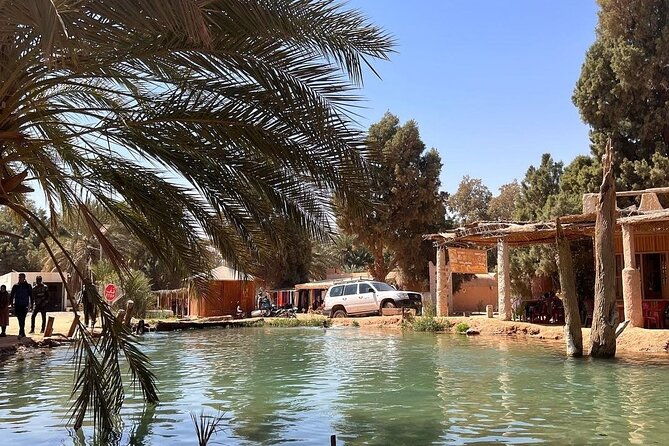 Private Day Trip Ksar Ghilane Oasis - What the price includes, and what it does not