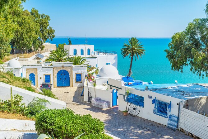 Private Day Trip Tunis Carthage Sidi Bou Said - Sidi Bou Said and its steep blue-and-white streets