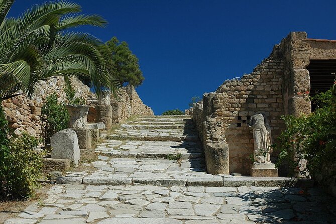 Private Day Trip Tunis Carthage Sidi Bou Said - What is included, and what is not