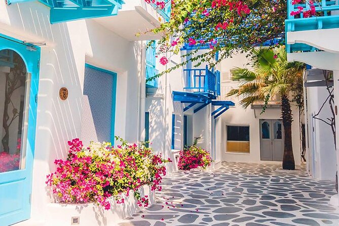 Private Day Trip Tunis Carthage Sidi Bou Said - The guides and the human side of the tour