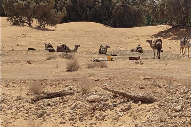 Private getaway in the desert like no other - A sunset and night in the Sabria sand desert