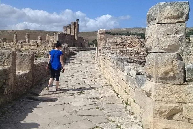 Private Guided Tour of Dougga and Testour Mosque - Who will enjoy this outing most?