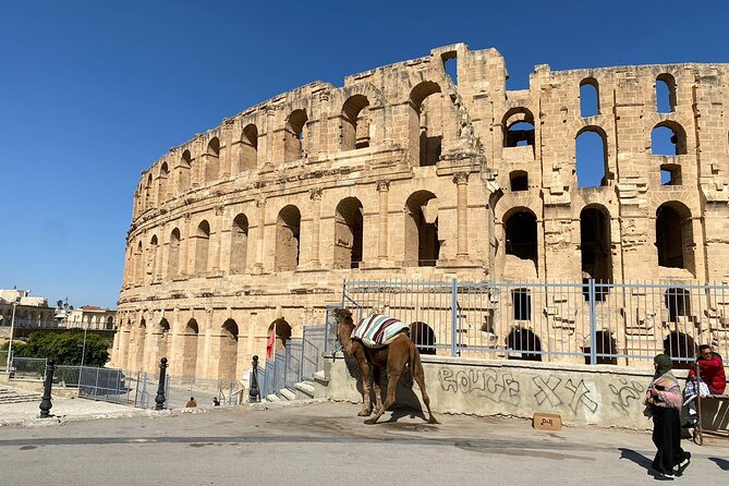 Private Half Day Tour Roman Coliseum EL JEM - The Archaeological Museum and its mosaics