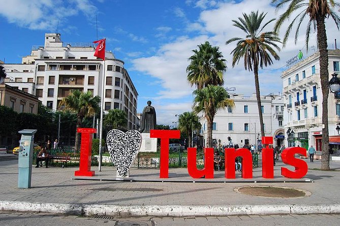 Private Half Day Tunis City Tour - What $117.34 per person buys you
