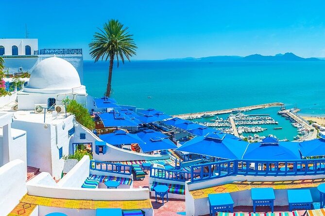Private Tour Bardo Museum, Carthage, Sidi Bou Said and Medina - Key points at a glance