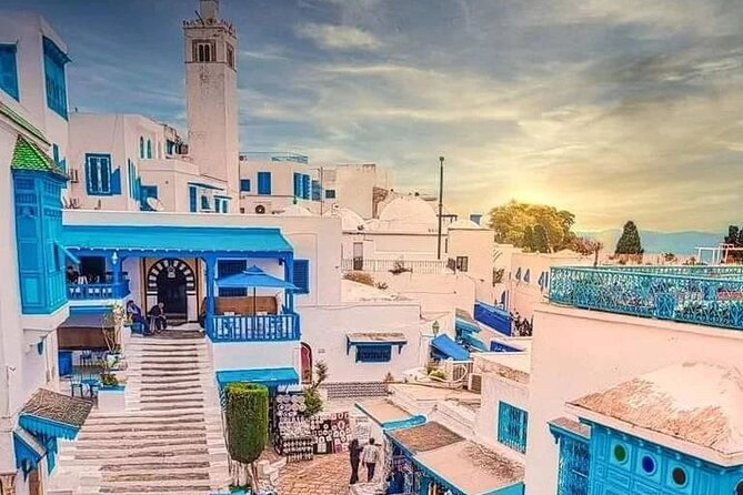 Private Tour Bardo Museum, Carthage, Sidi Bou Said and Medina - Why this private Tunis day works
