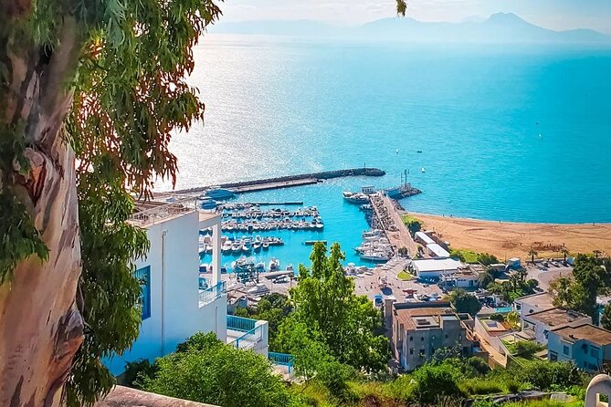 Private Tour Bardo Museum, Carthage, Sidi Bou Said and Medina - Mosque El Zitouna and Saint Louis Cathedral