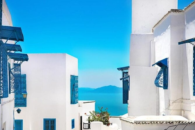 Private tour: Medina,Carthage ,Sidi Bou Said, Bardo Museum+lunch - The best parts of the day at a glance
