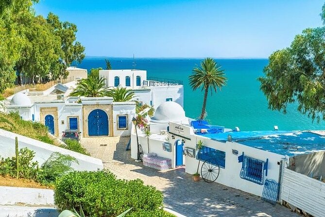 Private tour: Medina,Carthage ,Sidi Bou Said, Bardo Museum+lunch - La Goulette: lunch and a taste of coastal Tunis