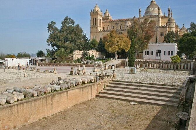 Private tour: Medina,Carthage ,Sidi Bou Said, Bardo Museum+lunch - Who should book this Tunis day tour?