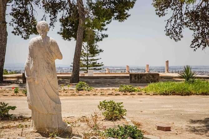 Private Walking Tour of Carthage Archaeological Site in Tunisia - Five things to know before you book