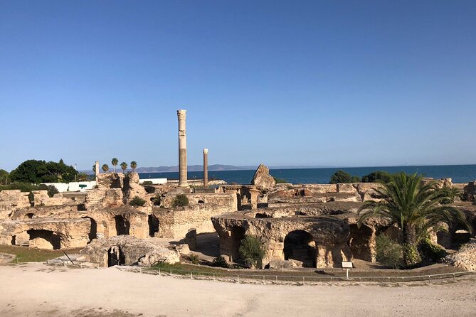 Private Walking Tour of Carthage Archaeological Site in Tunisia - Roman villas and their mosaics