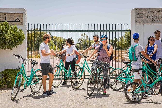 Self guided bike tour of Carthage archeological site - Give the main archaeological site three hours