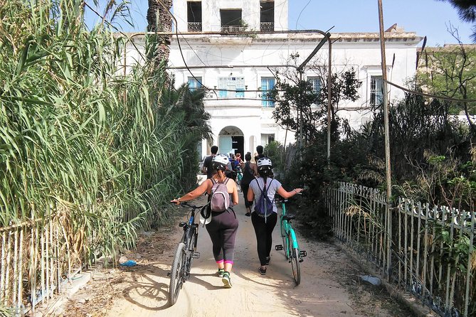 Self guided bike tour of Carthage archeological site - Include Byrsa Hill for the broadest view