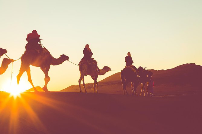 Sunset or Sunrise Camel ride in the Sahara Desert of Douz - Key points to know before booking