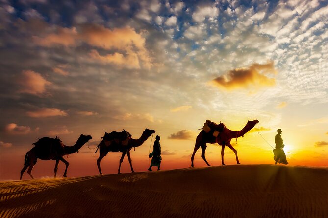 Sunset or Sunrise Camel ride in the Sahara Desert of Douz - Why this Douz camel ride works well