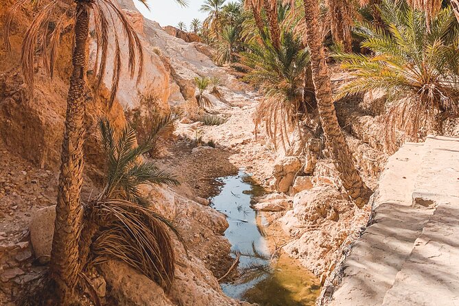 Tamerza, Chebika, Mides Canyons and Star Wars Full-Day Tour - Tamerza brings mountain scenery to the desert
