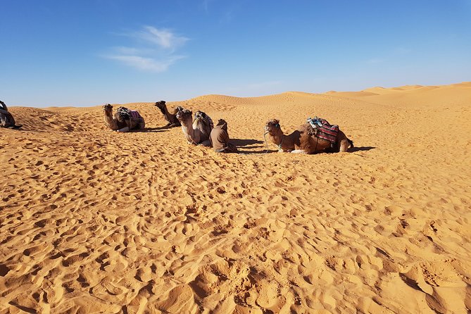 Tatouine - Cheneni - Ksar Ghuilaine - Matmata: 2 days visit - Key points before you book